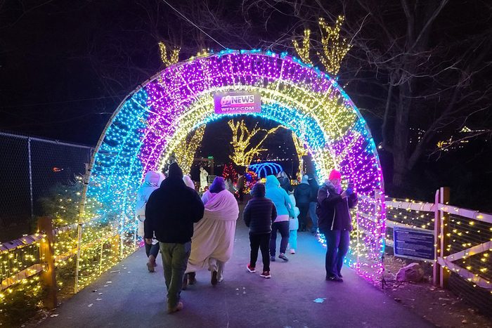 Leigh Valley Zoo Christmas Light Show