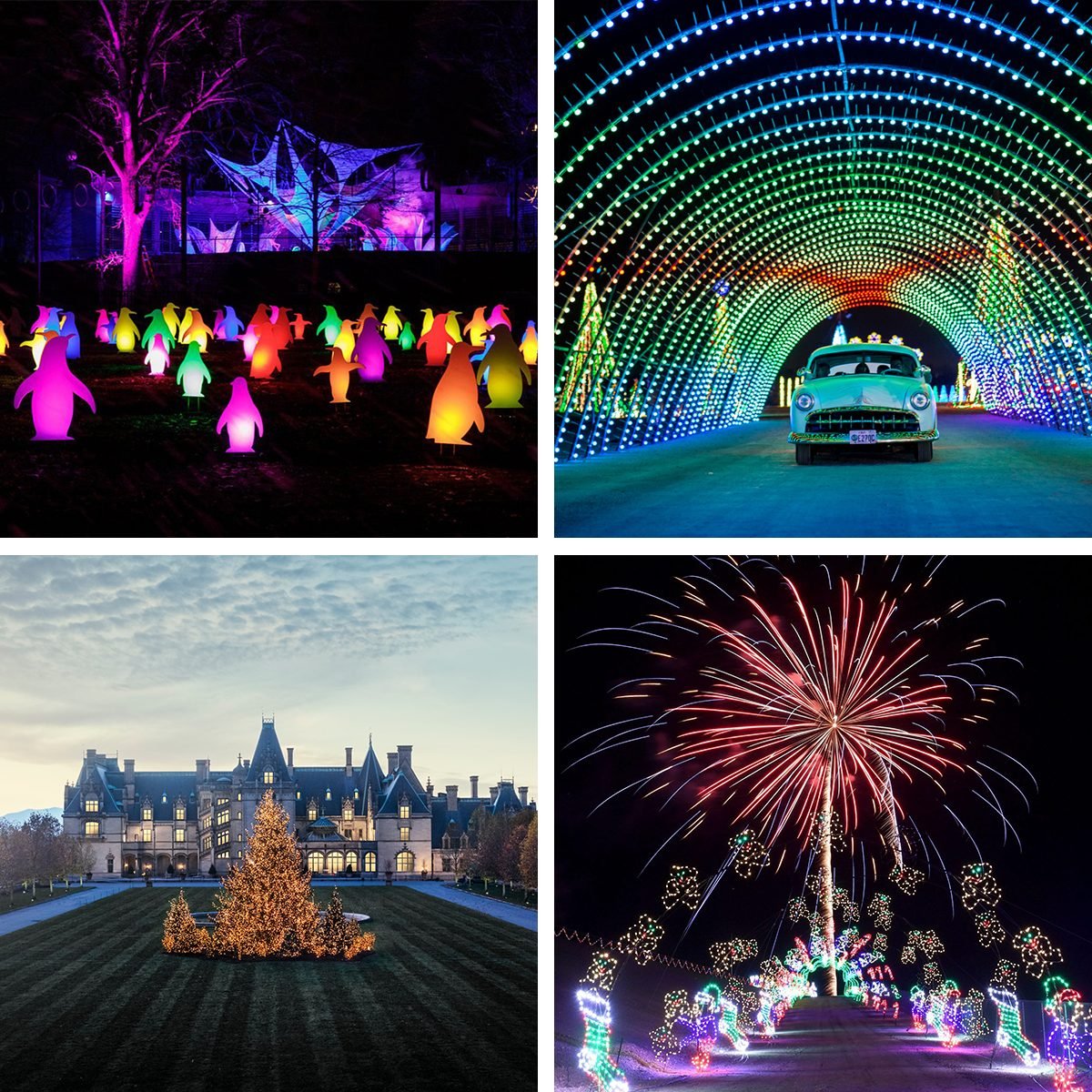 Christmas Light Shows Grid Collage