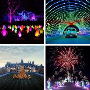 Christmas Light Shows Grid Collage