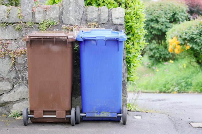 Recycle wheelie bins brown and blue in England
