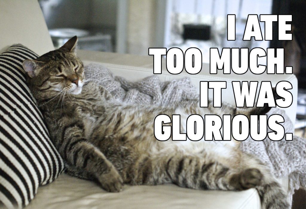 Cat Memes You'll Laugh at Every Time | Reader's Digest