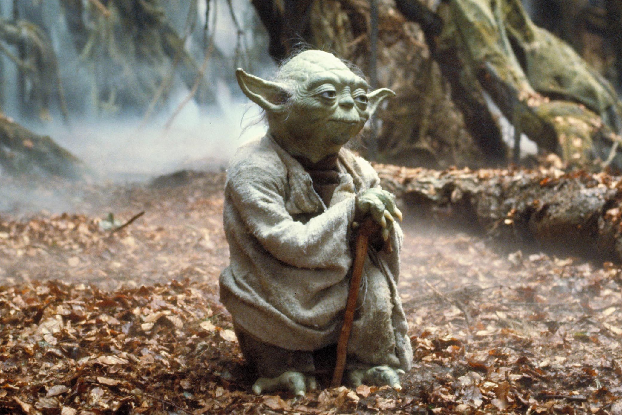 Powerful Yoda Quotes to Awaken Your Inner Force | Reader's Digest