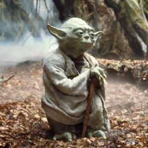 Yoda in Star Wars Episode V - The Empire Strikes Back (1980)