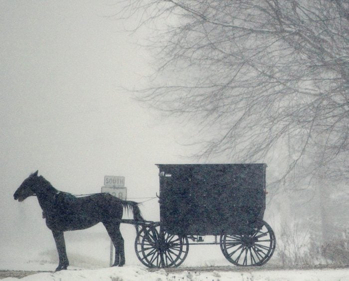 An Amish buggy waits in the falling snow to cross a roadway in Middlefield, Ohio.