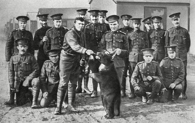 Mandatory Credit: Photo by Historia/Shutterstock (9814478a) Canadian Troops in Camp at Salisbury Plain Posing with Their Regimental Pet A Black Bear. There is No Hard Fast Evidence to Suggest So in the Caption But It is Possible That This is Winnie the Bear Smuggled to Britain by Lt. Harry Colebourn of the Fort Garry Horse A Canadian Cavalry Regiment En Route to the Western Front. the Bear Was Left at London Zoo where She Became Very Popular with Visitors Including Christopher Robin Milne Son of A. A. Milne Who Would Go On to Write His Winnie-the-pooh Stories Based On the Animal. . Unattributed Photograph in the Illustrated Sporting and Dramatic News, 28 November 1914 Canadians in Camp at Salisbury Plain with Bear Mascot, 1914