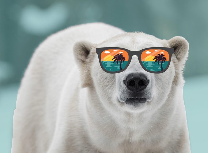 tropical polar bear