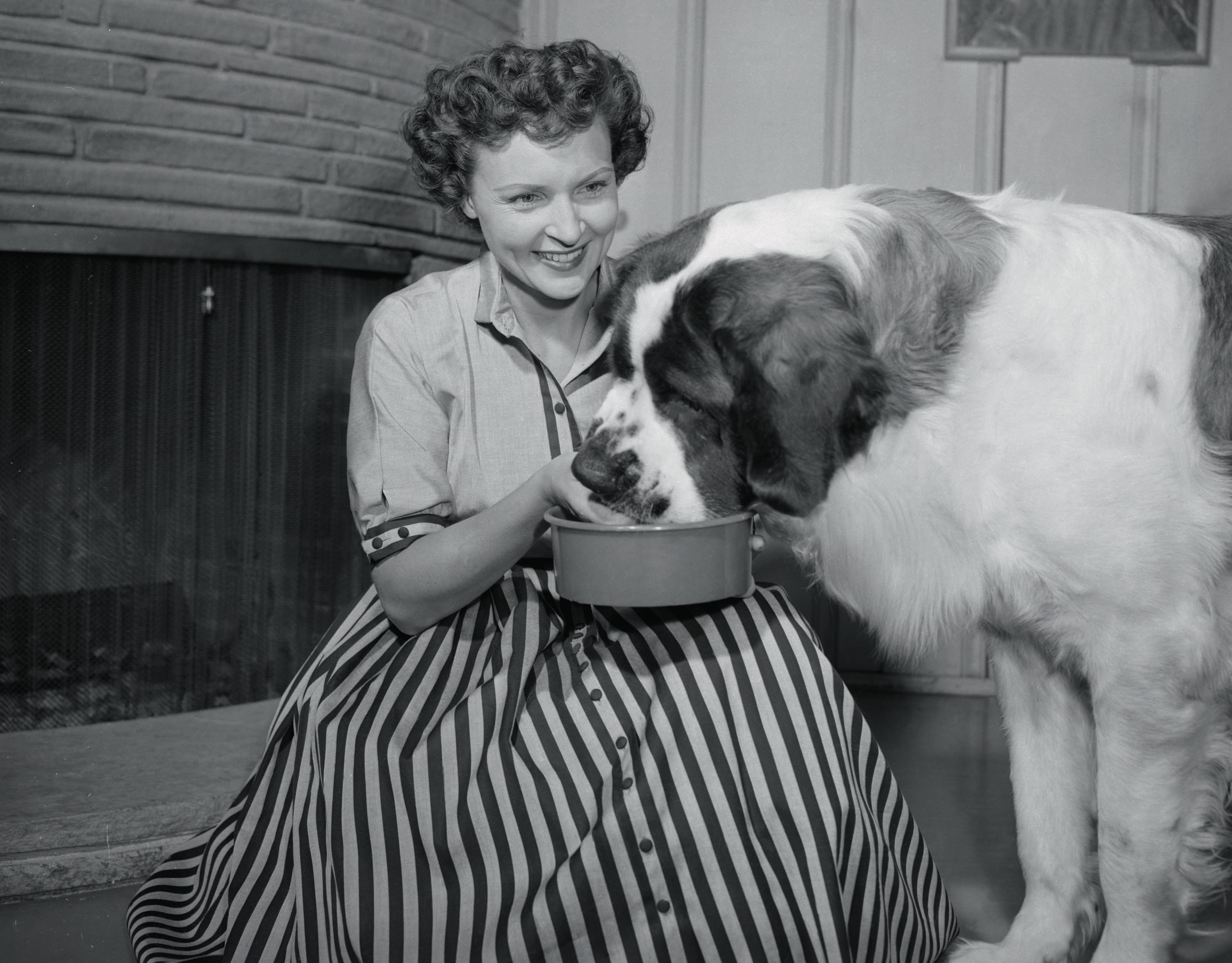 Betty White feeding her huge St. Bernard, Stormy