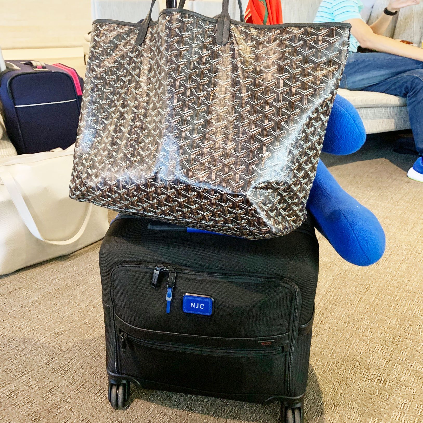 What's In My Bag: International Flight Louis Vuitton Carry On / Hand Luggage  