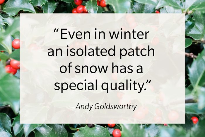 Andy Goldsworthy Cozy Winter Quote