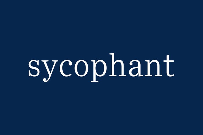 Fancy Word Sycophant