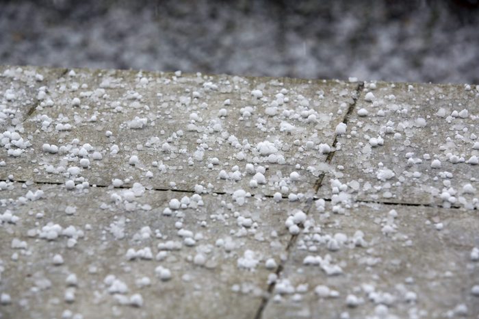 Snow pellets on the ground. Also known as graupel, precipitation that forms when supercooled droplets of water are collected and freeze on falling snowflakes like ball snow crystals.