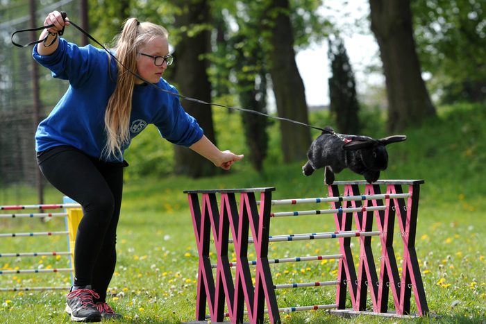 a girl and her bunny go through a hurdles course