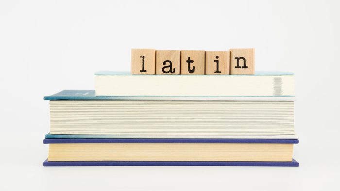 latin word spelt out on wooden tiles on books, language and study concept.