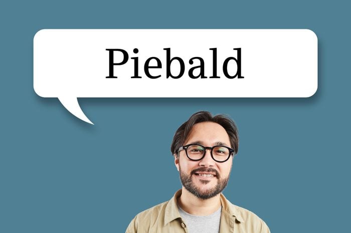 man with speech bubble "piebald"
