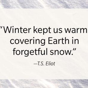Ts Eliot Cozy Winter Quote