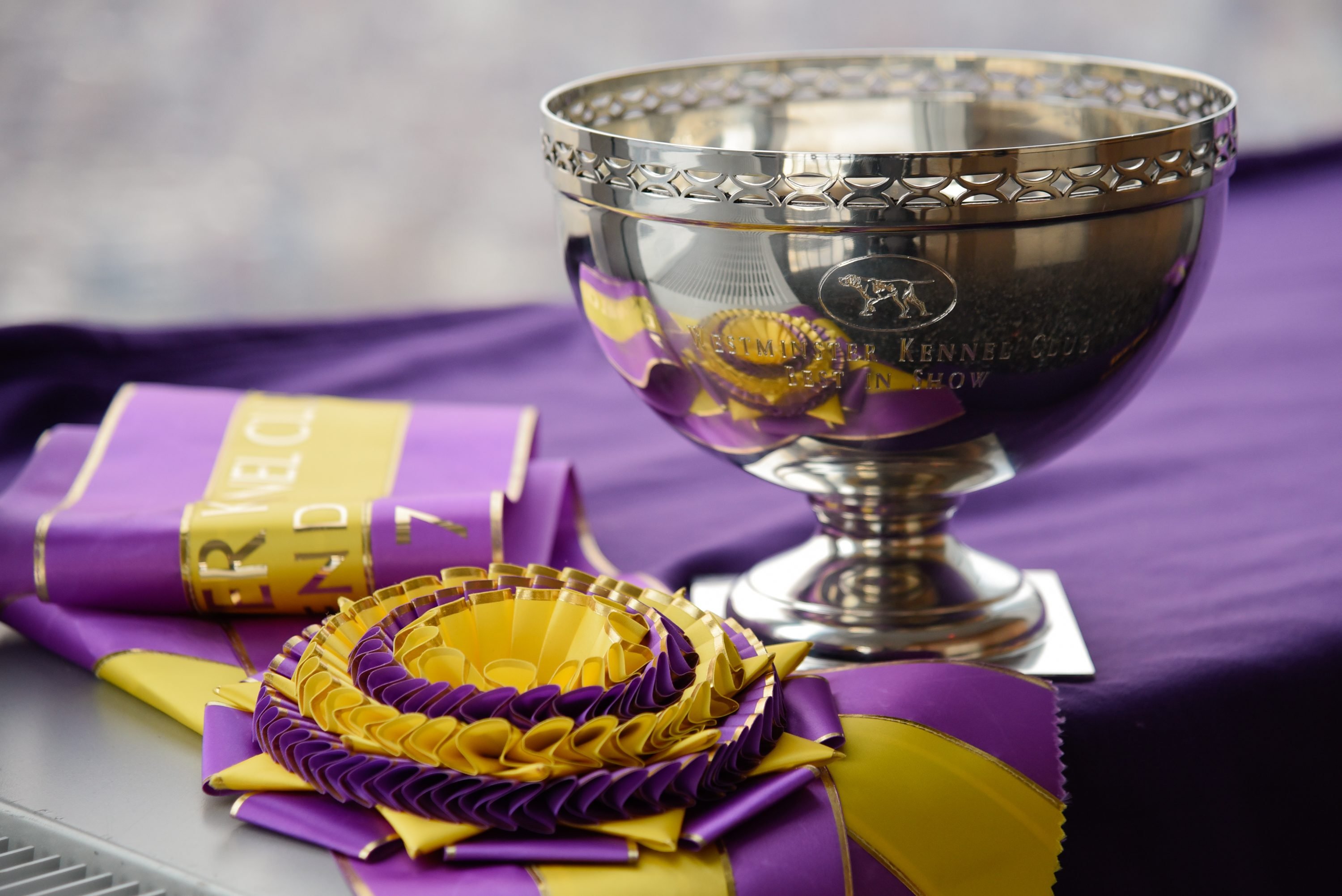 Westminster Kennel Club Dog Show 'Best In Show' Trophy 