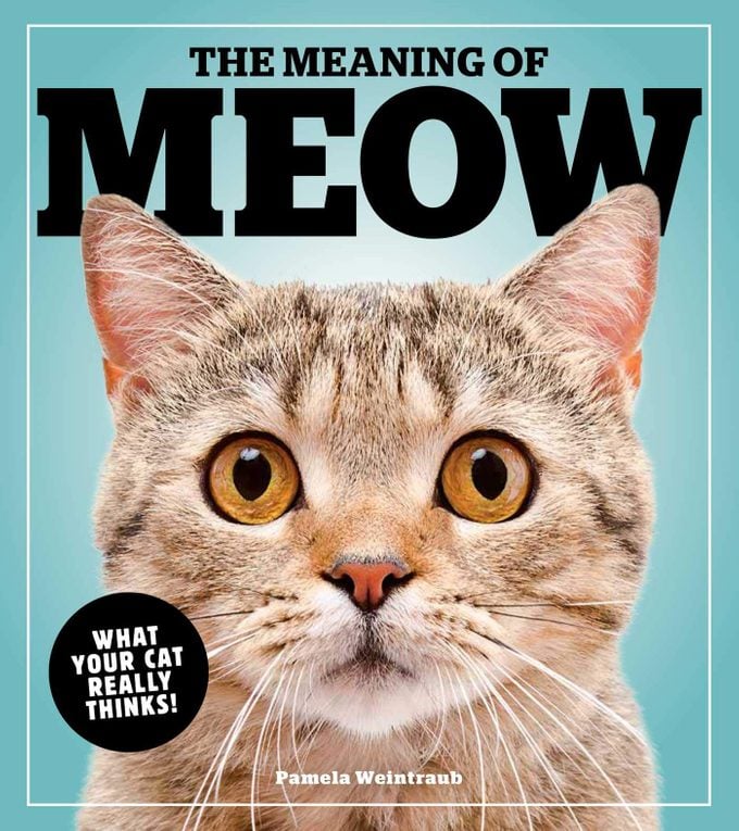 the meaning of meow cat book