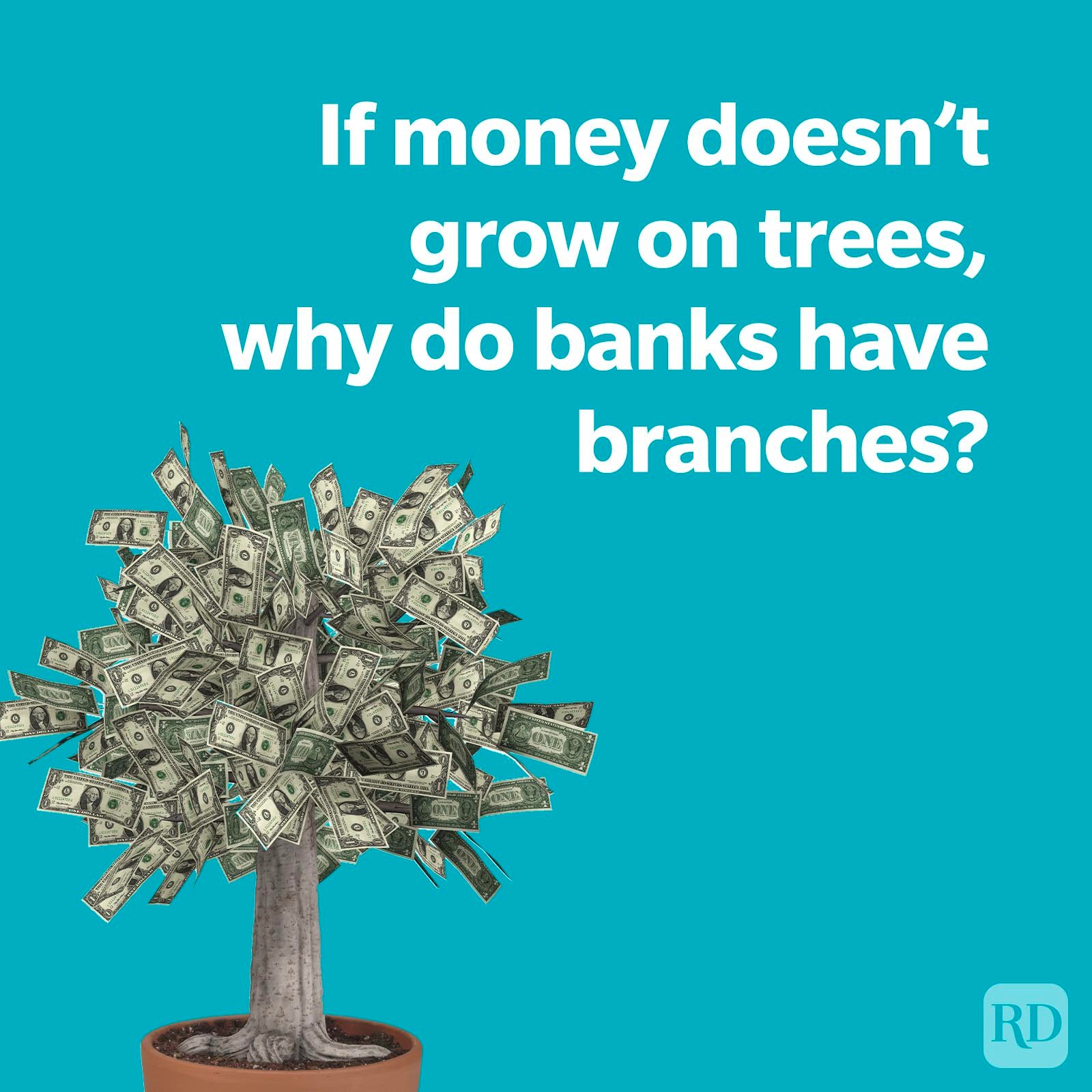 If money doesn't grow on trees, why do banks have branches then?