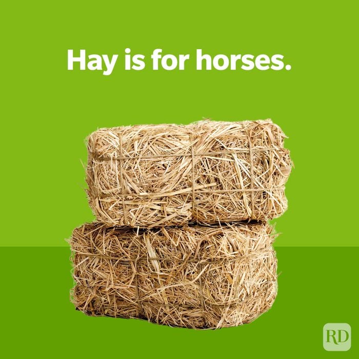 Hay is for horses.