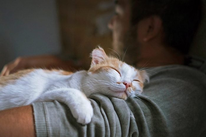 cat sleeping on man's arm