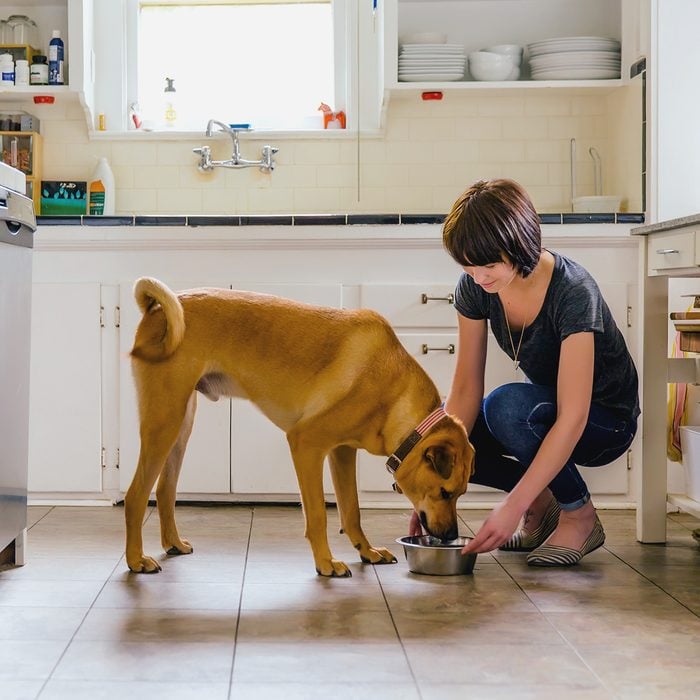 woman giving her dog food in the kitchen