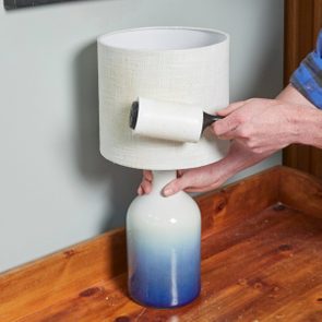 Lampshade Lint Roller