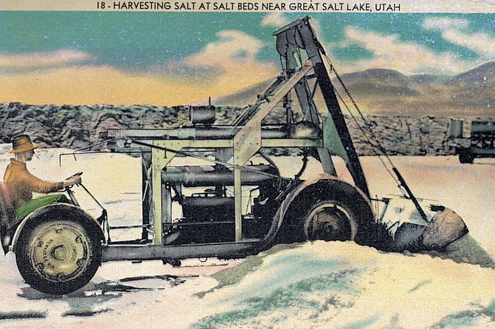 salt lake utah vintage post card