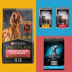 The Very Best Large Breed Dog Food