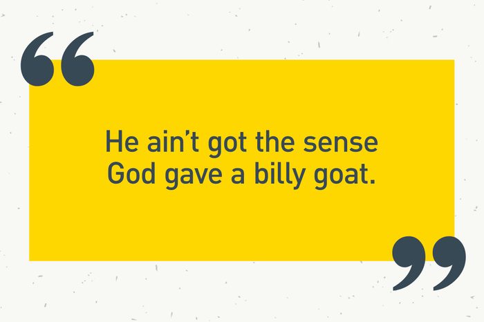 yellow text box. "he ain't got the sense god gave a billy goat."
