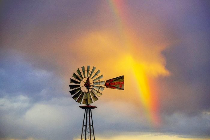 spring rainbow windmill