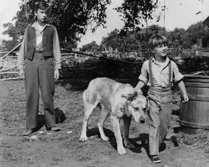 Tommy Kirk And Kevin Corcoran In Old Yeller