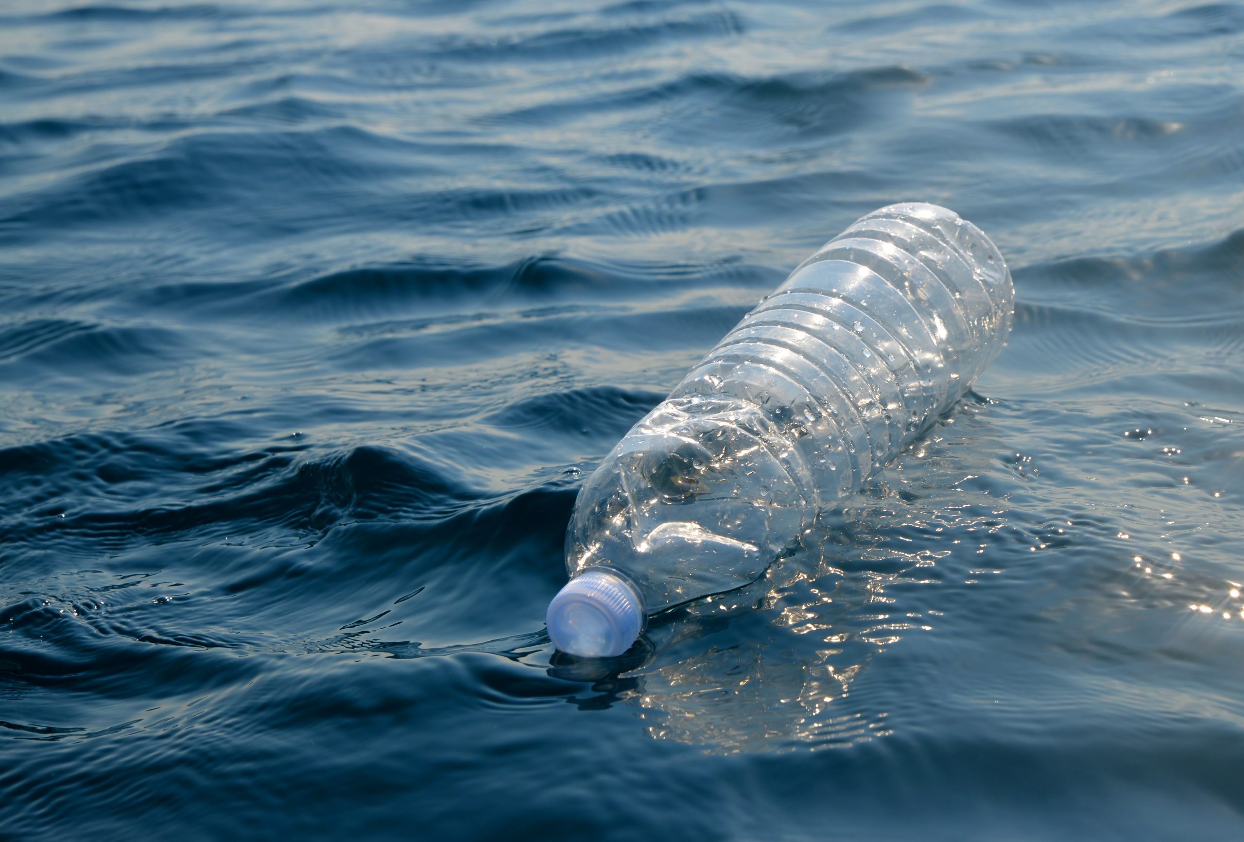 How Long Plastic Bottles Take to Degrade in the Ocean | Reader's Digest