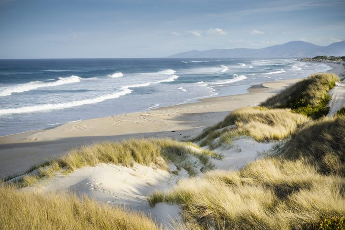 Windswept coastal landscape. Marouard Beach, Tasmania