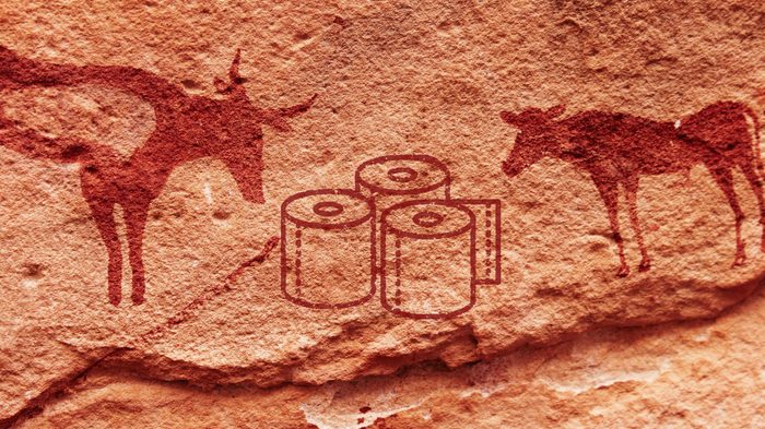 toilet paper cave painting