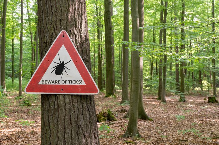 tick insect warning sign