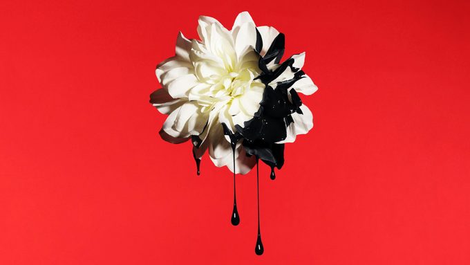 dahlia dripping with black paint on red background