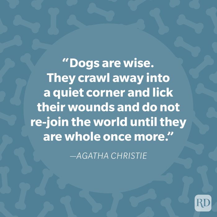 Agatha Christie Dog Quote