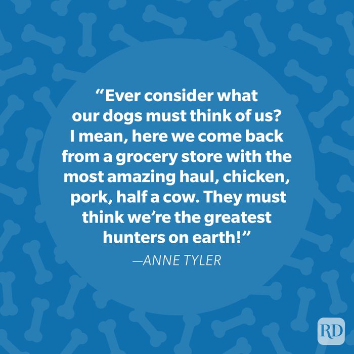 Anne Tyler Dog Quote
