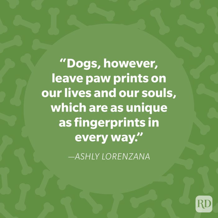 Ashly Lorenzana Dog Quote