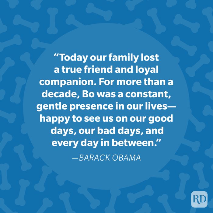 Barack Obama Dog Quote