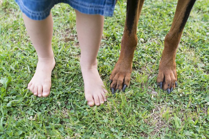 Children's feet and dog's feet