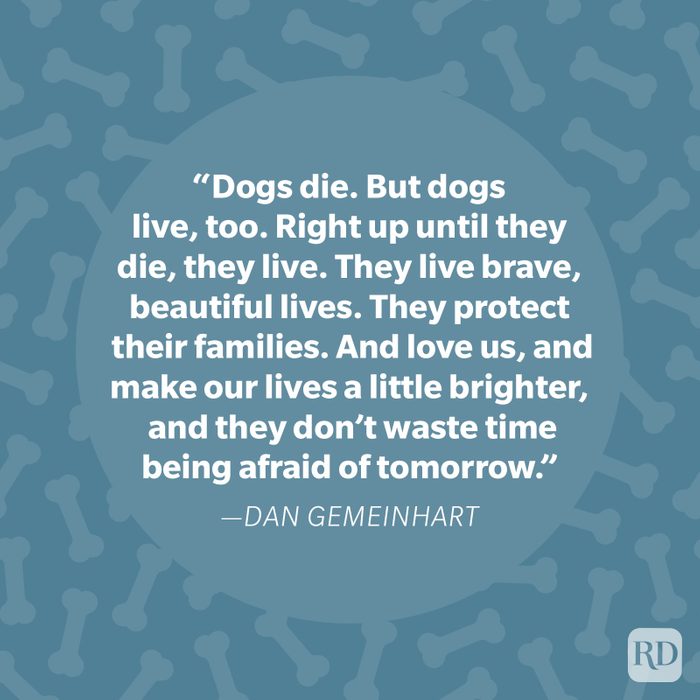 Dan Gemeinhart Dog Quote