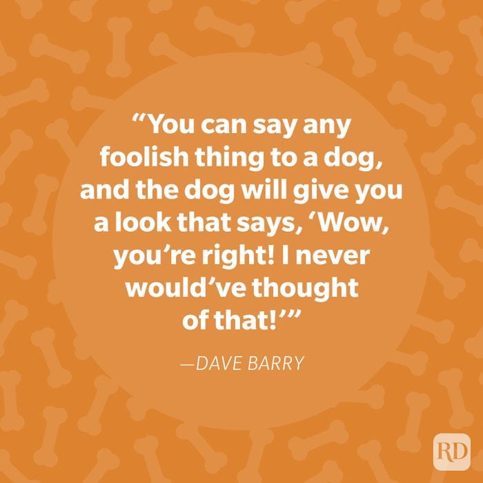 Dave Barry Dog Quote