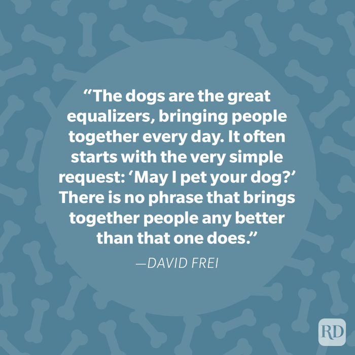 David Frei Dog Quote 2