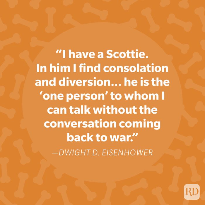 Dwight D Eisenhower Dog Quote