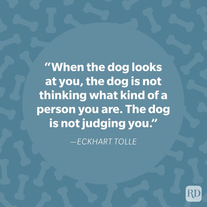 Eckhart Tolle Dog Quote