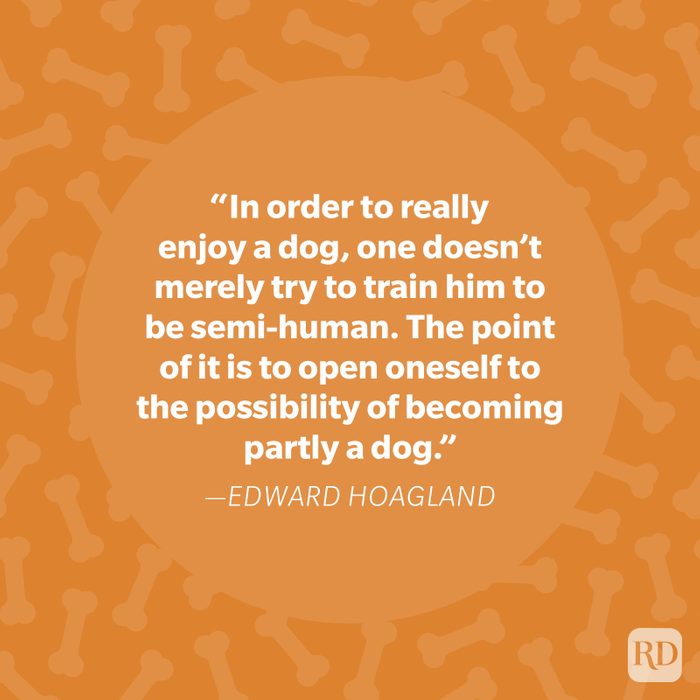 Edward Hoagland Dog Quote