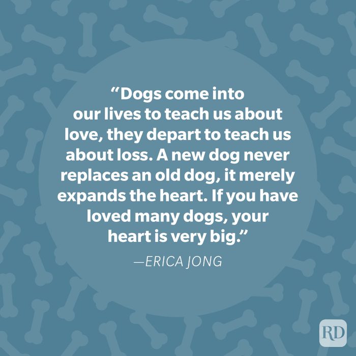 Erica Jong Dog Quote