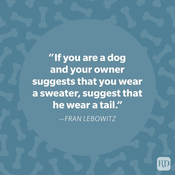 Fran Lebowitz Dog Quote