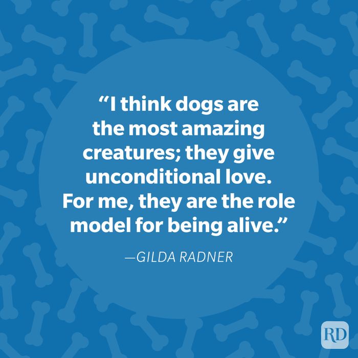Gilda Radner Dog Quote